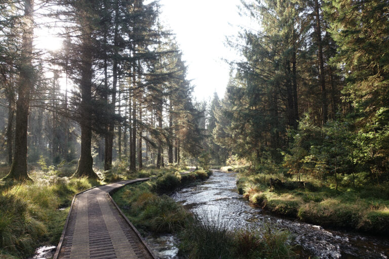 Source of the Severn: A Misty Morning Walk