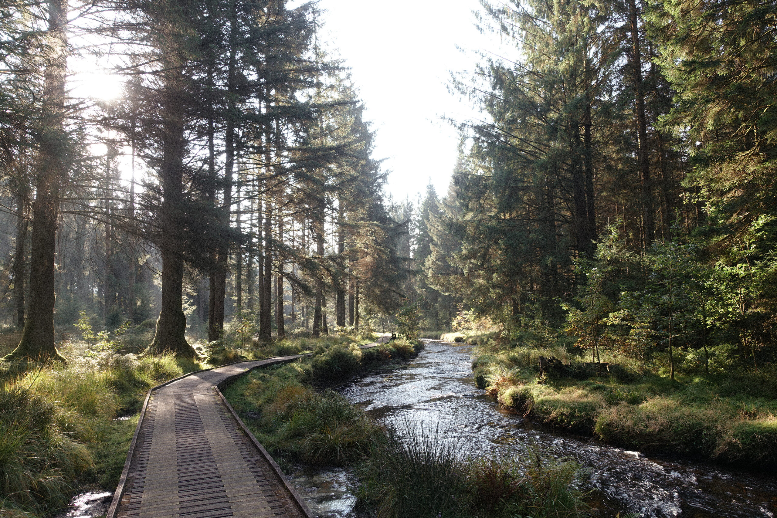 Source of the Severn: A Misty Morning Walk