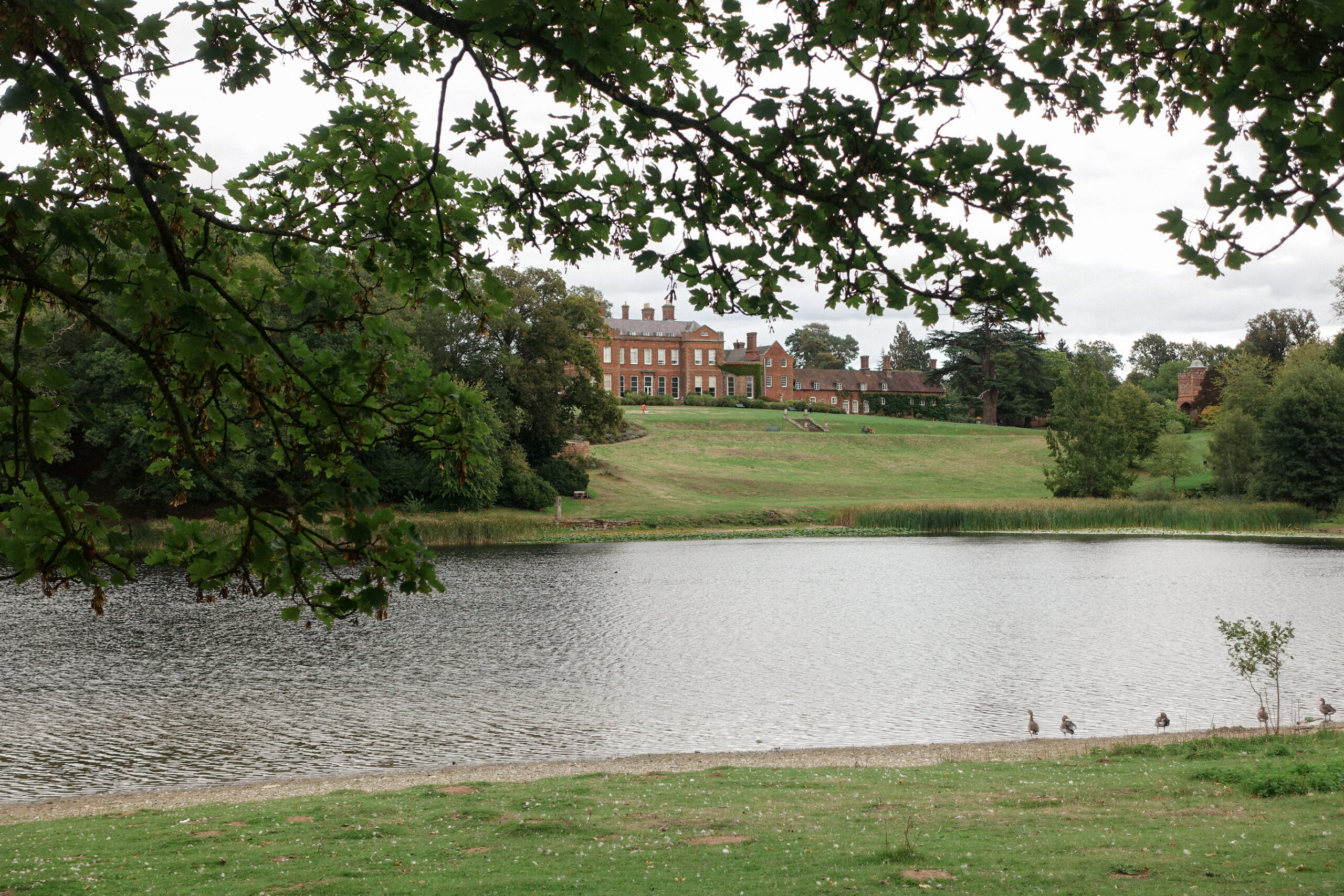 Dudmaston Pools: A 5k Walk and Apple Flapjacks